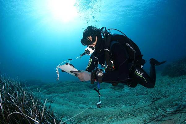 Έναρξη λειτουργίας του Παρατηρητηρίου BLUEQ για την ενίσχυση της  μακροπρόθεσμης προστασίας των θαλάσσιων οικοσυστημάτων της Αδριατικής και του Ιονίου.
